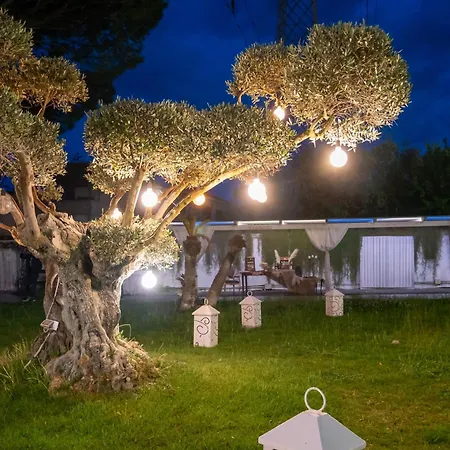 ホテル Imperiale 3*